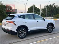 جيتور داشينج